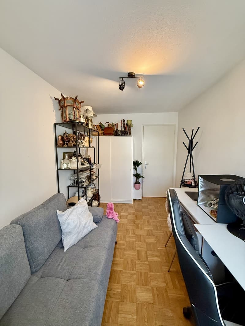 Nachmieter gesucht für schöne 3.5 Zimmer Wohnung an zentral Lage (7)