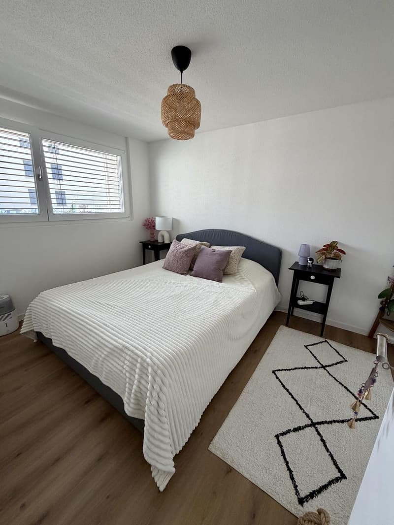 Cozy & Modern 3.0-Room Apartment in Lenzburg, 20 mins from Zurich HB (5)