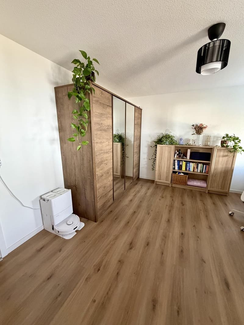 Cozy & Modern 3.0-Room Apartment in Lenzburg, 20 mins from Zurich HB (4)