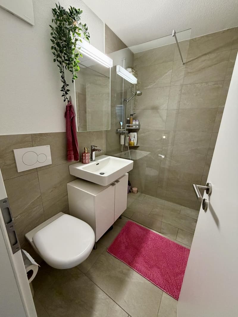Cozy & Modern 3.0-Room Apartment in Lenzburg, 20 mins from Zurich HB (10)