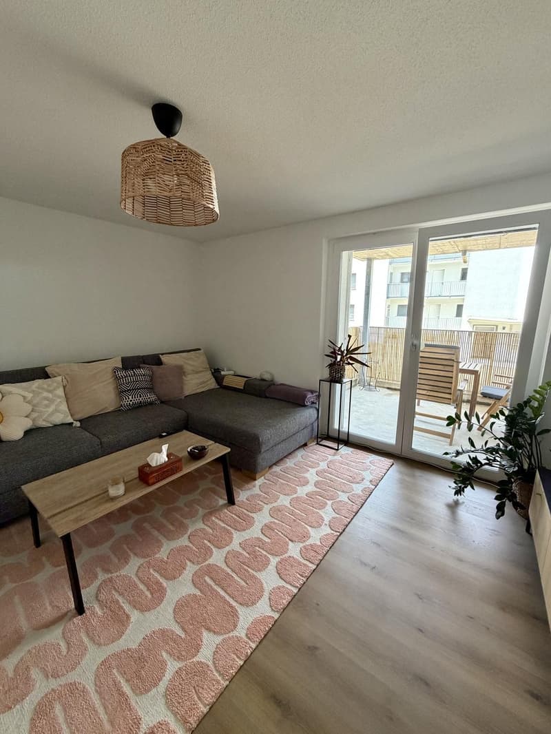 Cozy & Modern 3.0-Room Apartment in Lenzburg, 20 mins from Zurich HB (2)