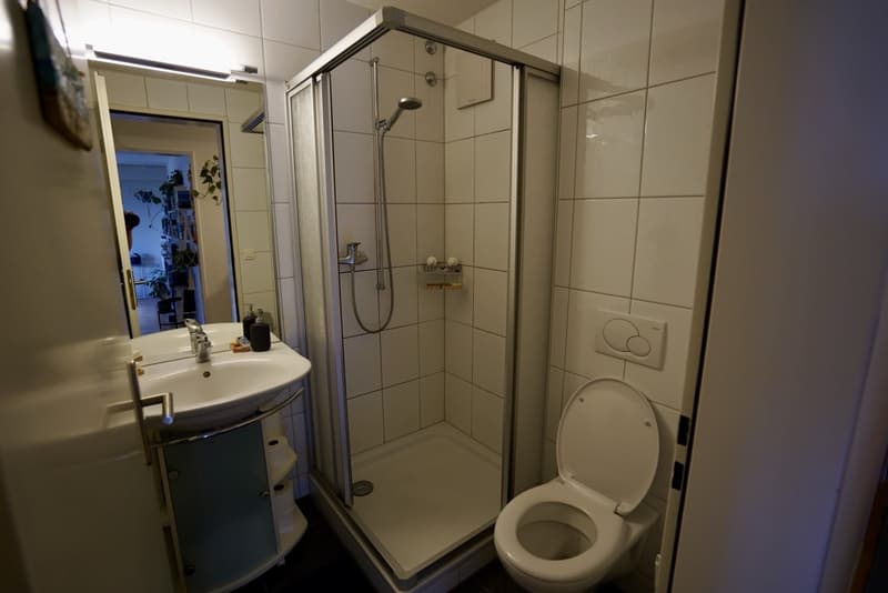 3½-Zimmer-Wohnung befristet, möbiliert, zur Untermiete (6)