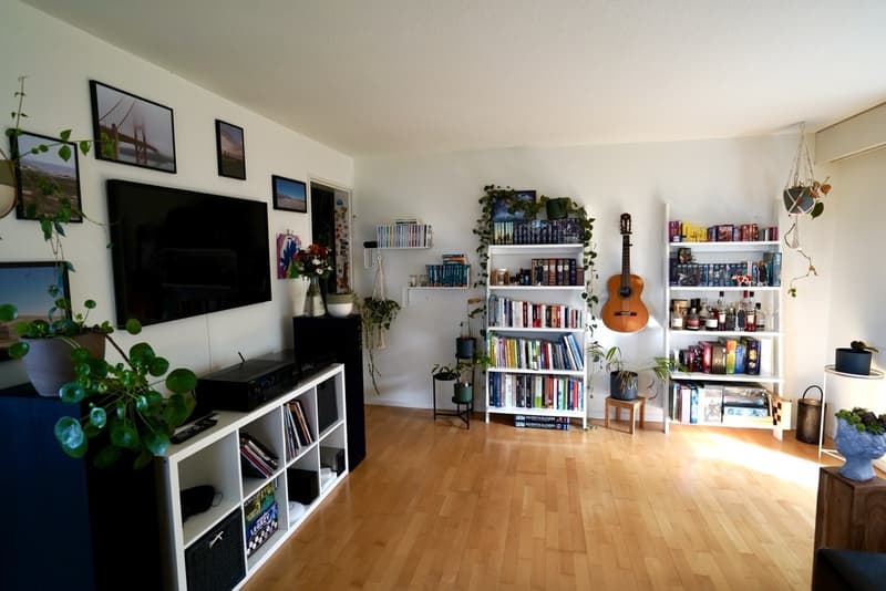 3½-Zimmer-Wohnung befristet, möbiliert, zur Untermiete (2)