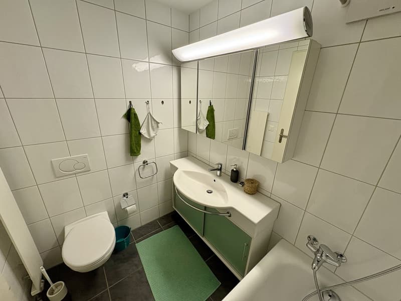 3½-Zimmer-Wohnung befristet, möbiliert, zur Untermiete (5)