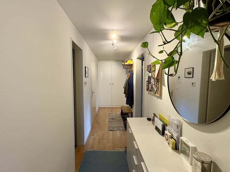 3½-Zimmer-Wohnung befristet, möbiliert, zur Untermiete (9)