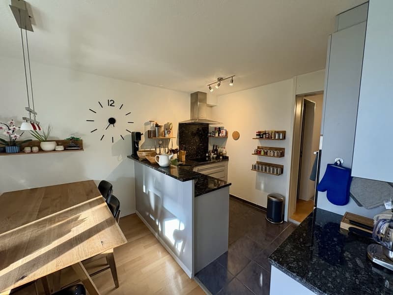 3½-Zimmer-Wohnung befristet, möbiliert, zur Untermiete (7)