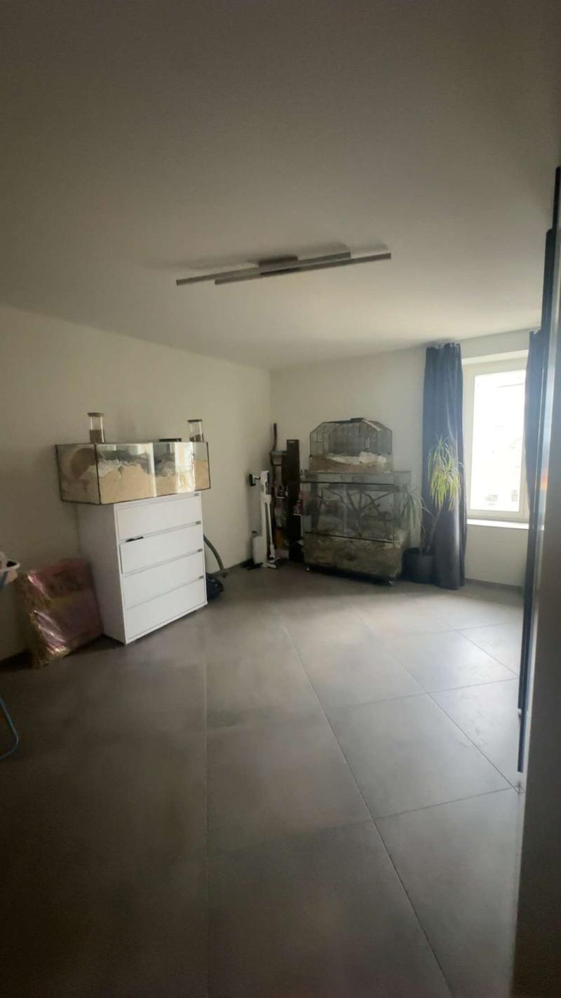 Geräumige 4.5 Zimmer Wohnung in der Gemeinde Hallau (6)