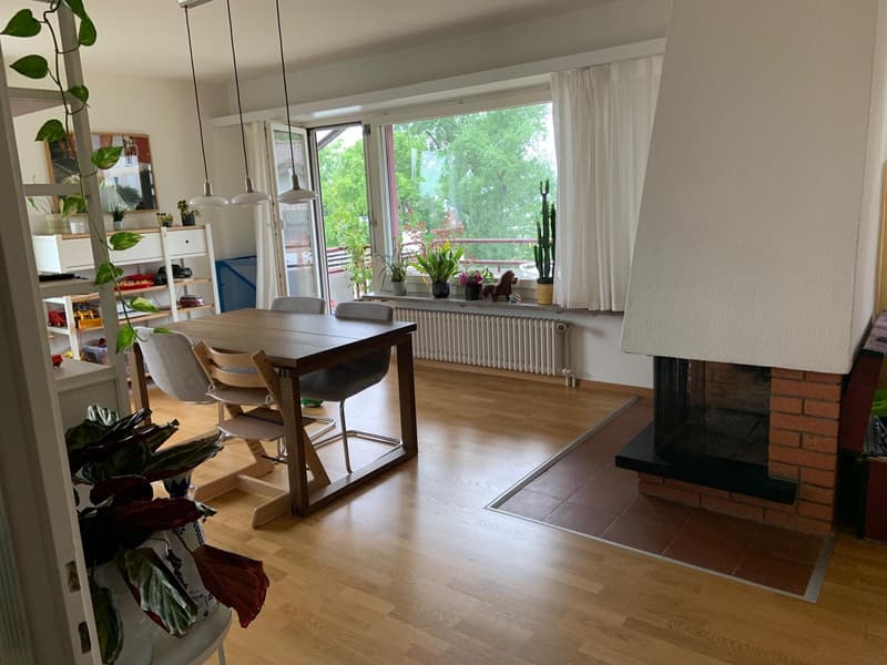 Grosszügige 3.5-Zimmer-Wohnung in Zürich-Höngg (WG-Konzept ab 1.9.) (1)