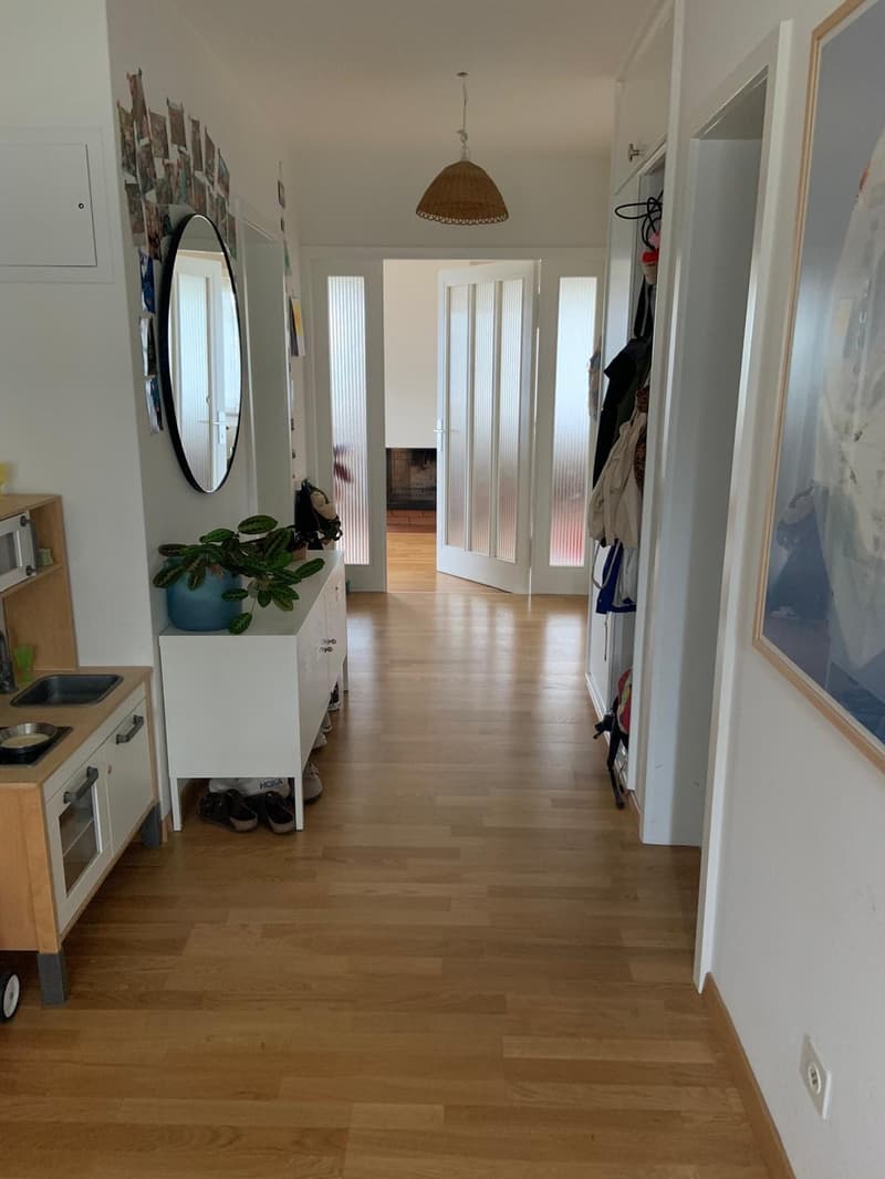 Grosszügige 3.5-Zimmer-Wohnung in Zürich-Höngg (WG-Konzept ab 1.9.) (3)