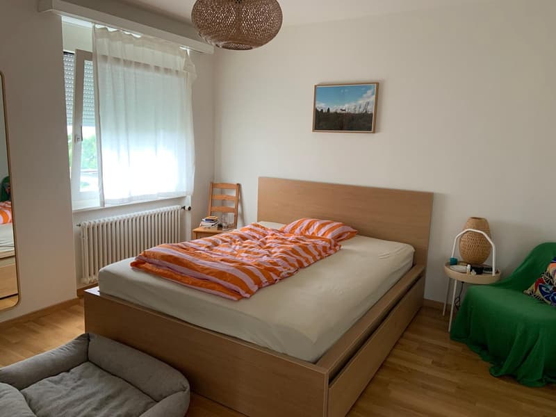 Grosszügige 3.5-Zimmer-Wohnung in Zürich-Höngg (WG-Konzept ab 1.9.) (4)