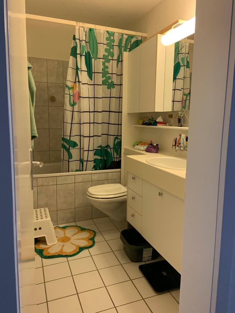 Grosszügige 3.5-Zimmer-Wohnung in Zürich-Höngg (WG-Konzept ab 1.9.) (7)