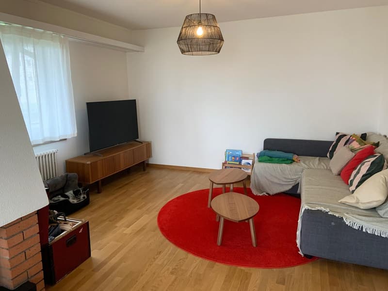 Grosszügige 3.5-Zimmer-Wohnung in Zürich-Höngg (WG-Konzept ab 1.9.) (2)