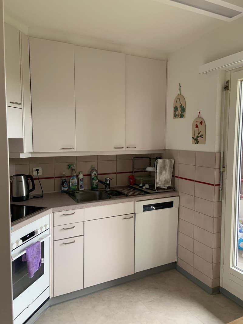 Grosszügige 3.5-Zimmer-Wohnung in Zürich-Höngg (WG-Konzept ab 1.9.) (6)