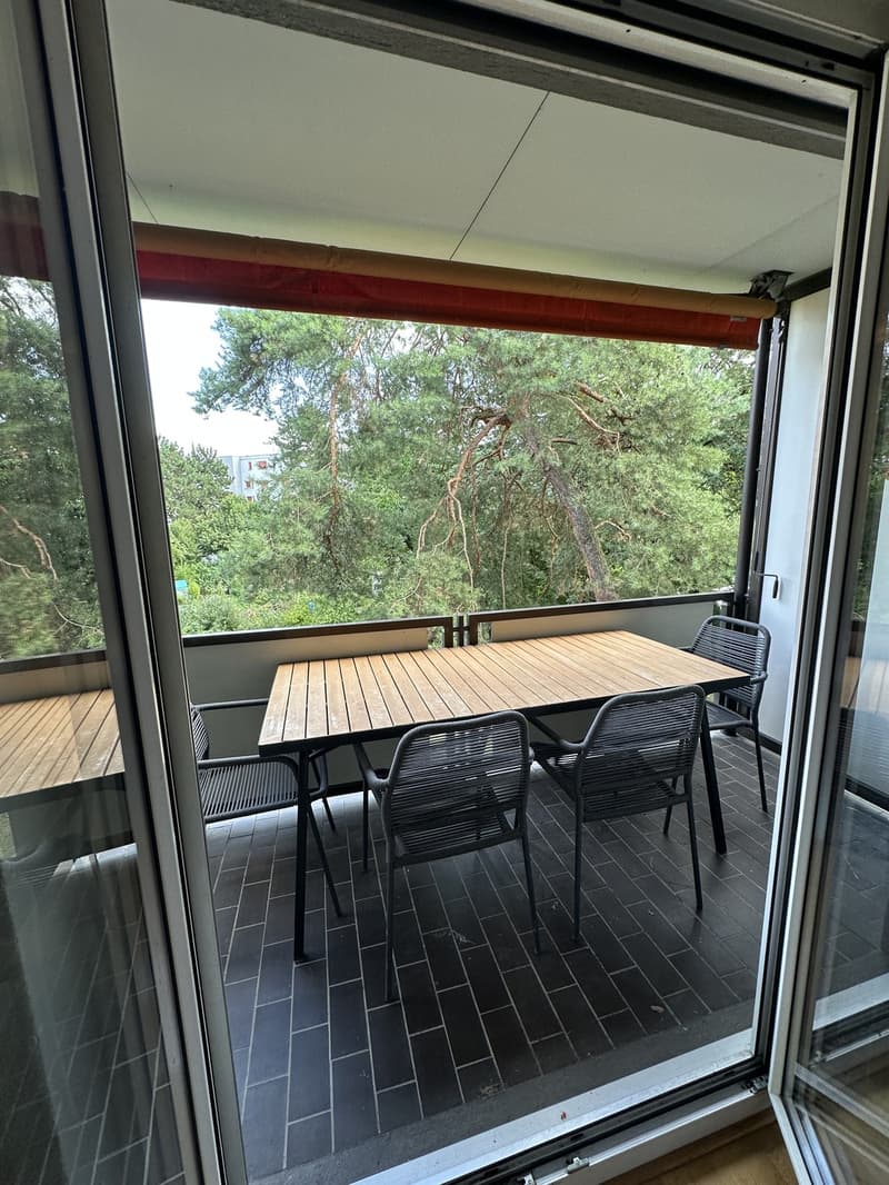 1.5 Zimmer Wohnung in Zürich Wiedikon (2)
