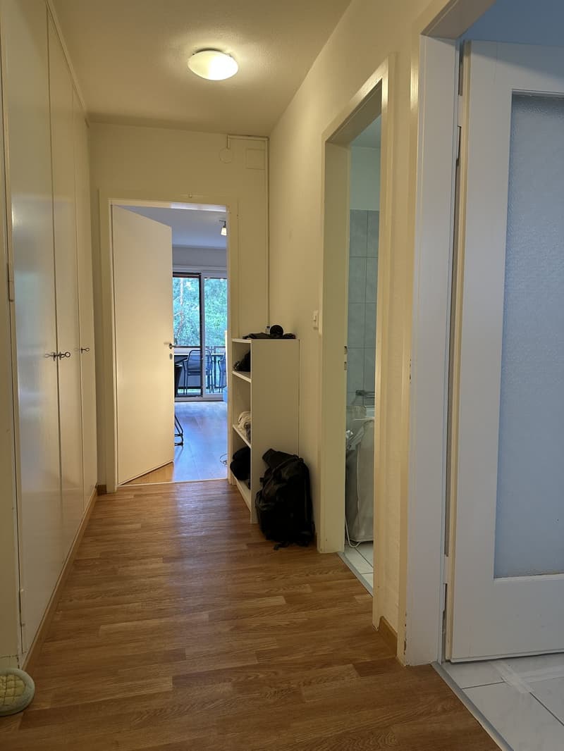 1.5 Zimmer Wohnung in Zürich Wiedikon (4)