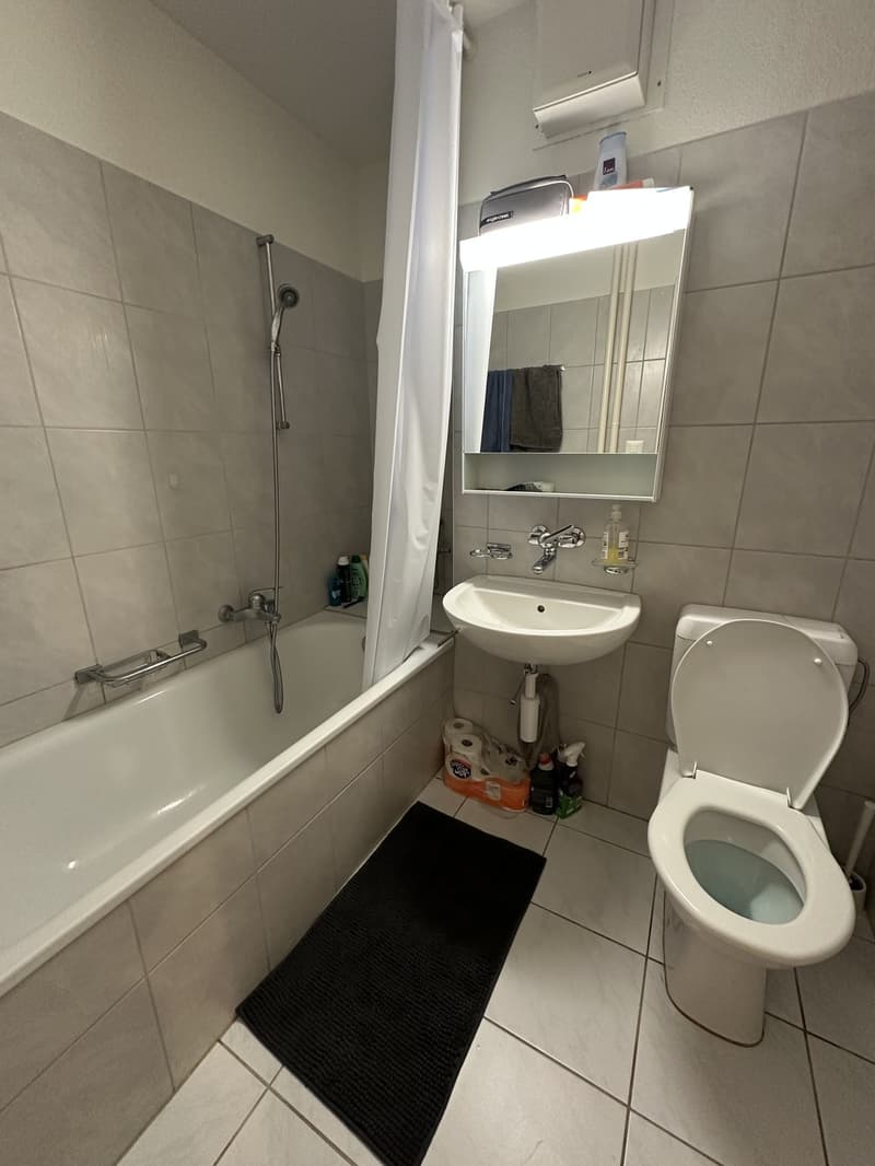 1.5 Zimmer Wohnung in Zürich Wiedikon (3)