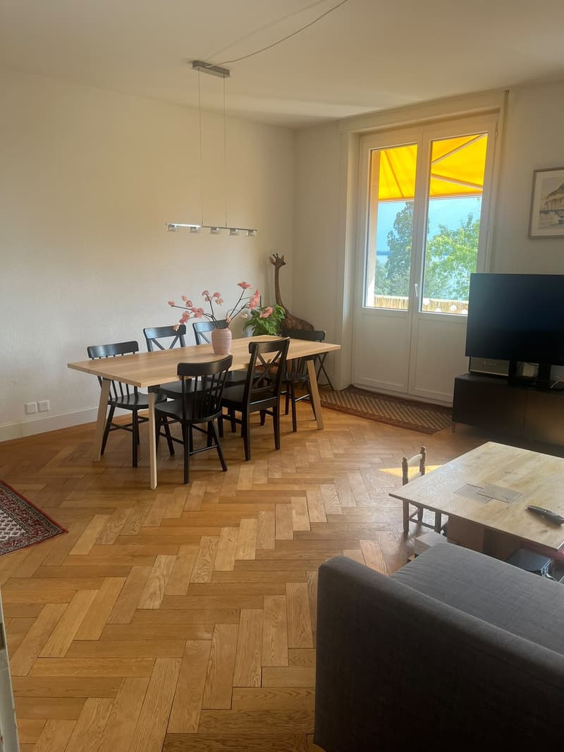 Appartement 4 ½ pièces, 1820 montreux (11)