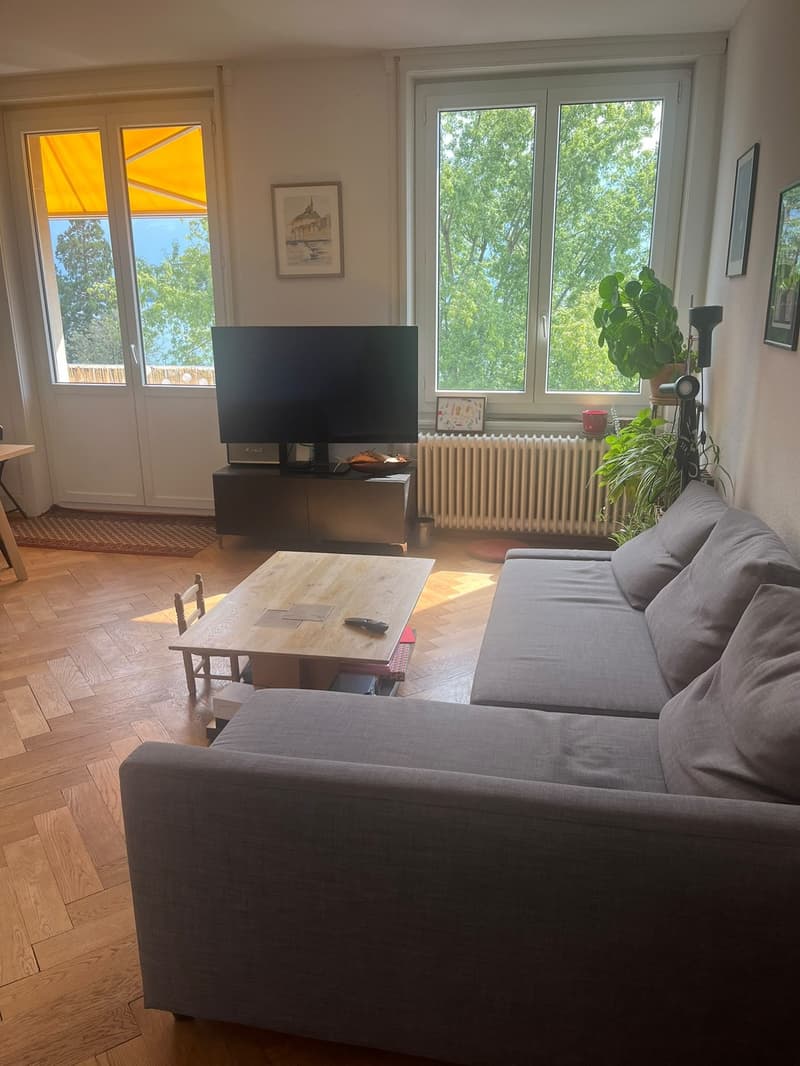 Appartement 4 ½ pièces, 1820 montreux (12)