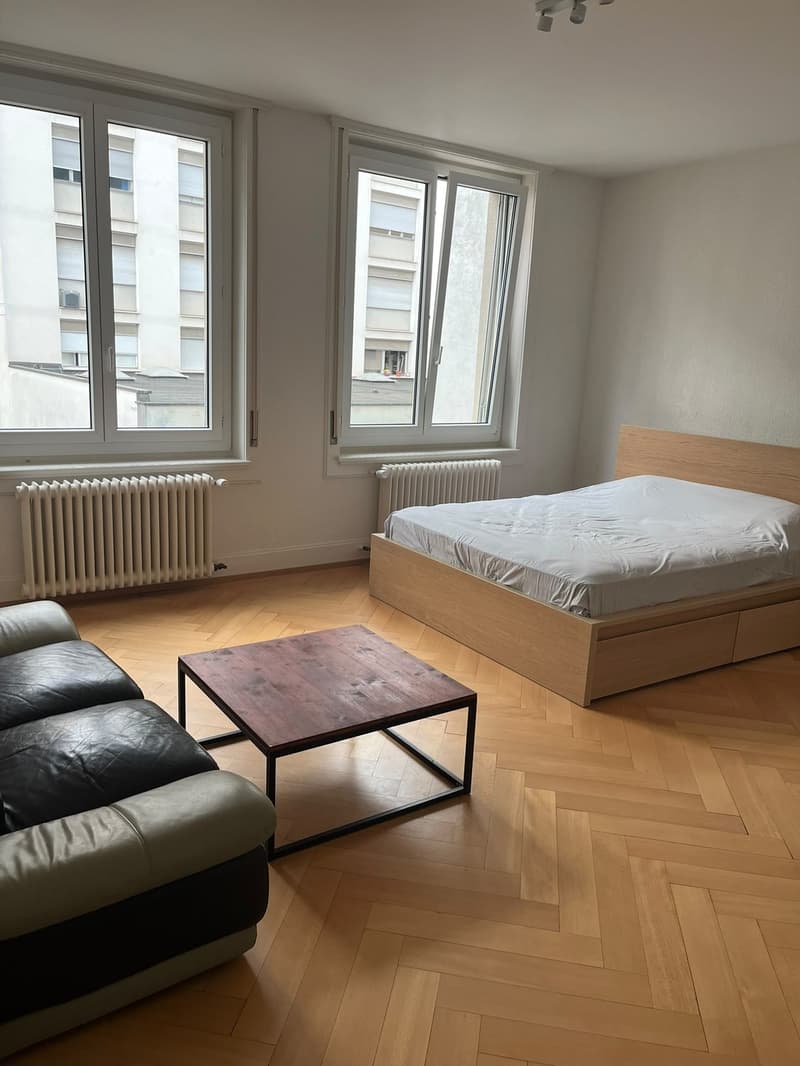 Appartement 4 ½ pièces, 1820 montreux (9)