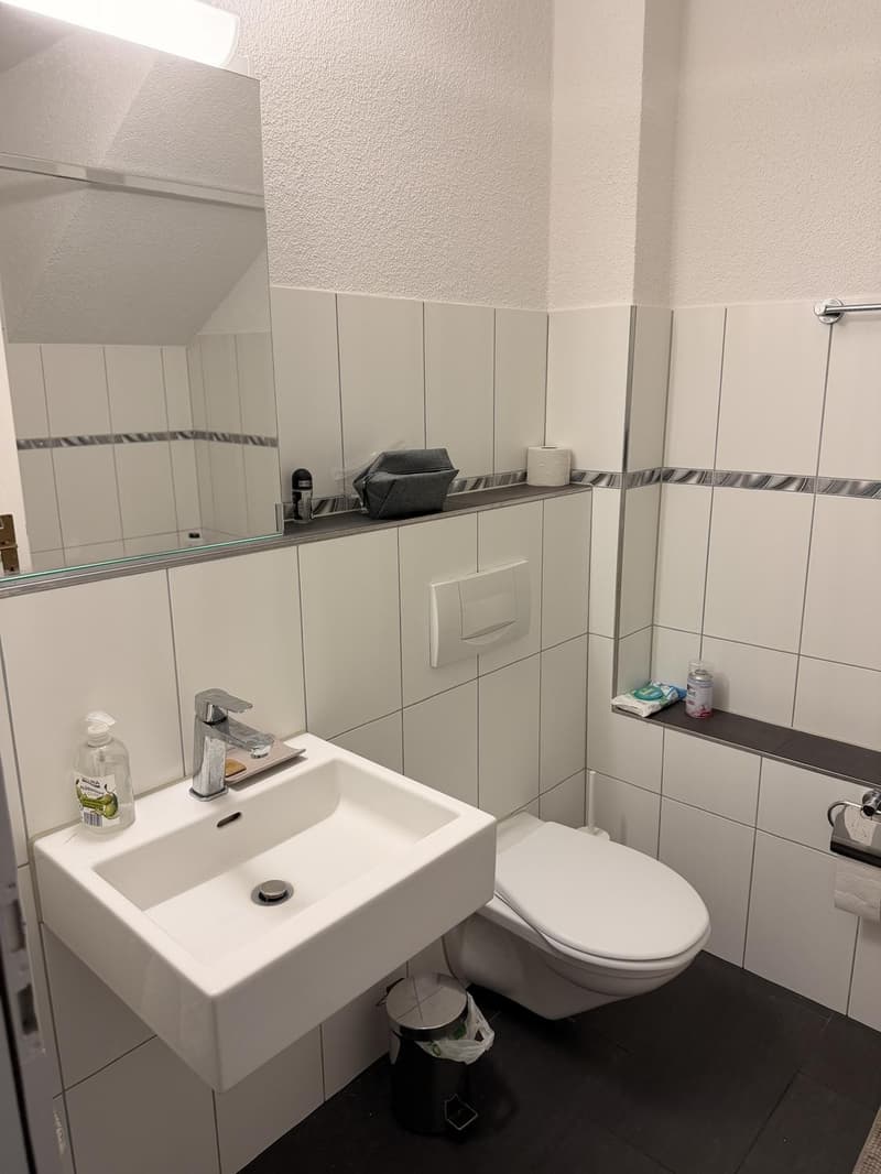 Charming 3.5-Room Apartment with Balcony and Beautiful Views in Flaach (10)