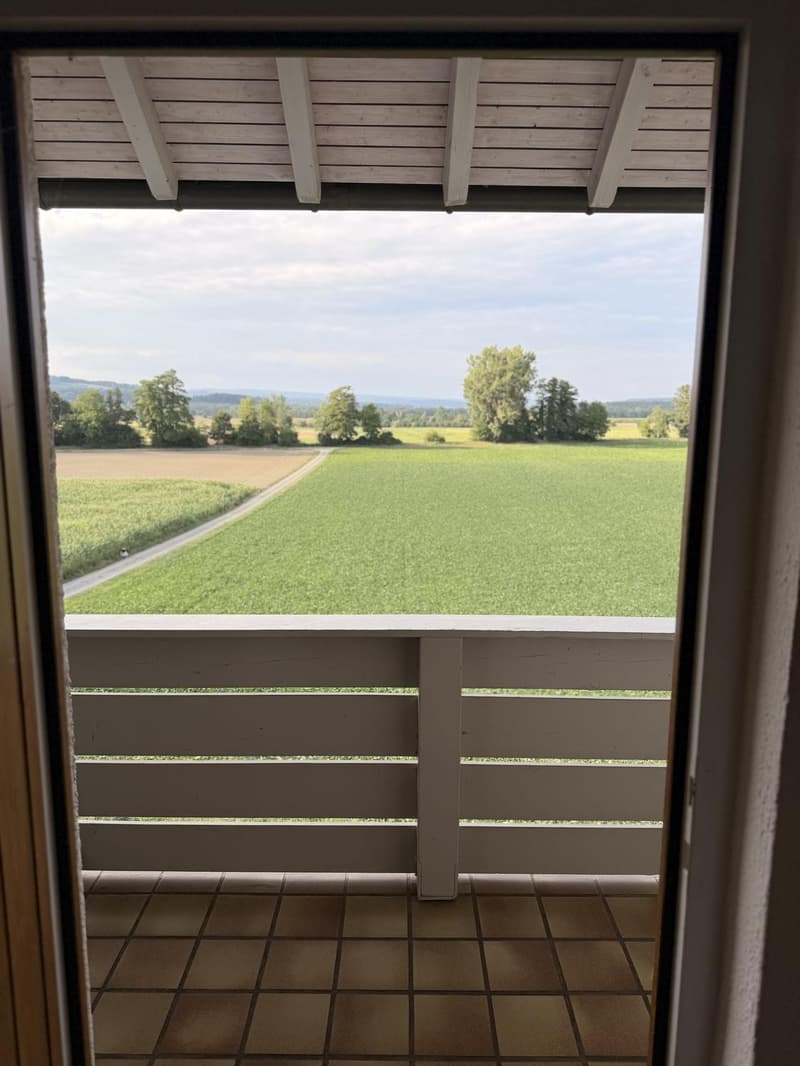 Charming 3.5-Room Apartment with Balcony and Beautiful Views in Flaach (11)
