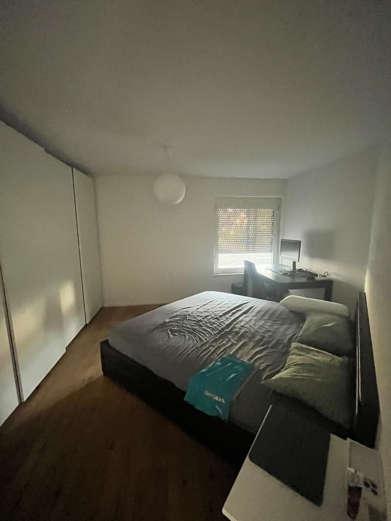 Charming 3.5-Room Apartment with Balcony and Beautiful Views in Flaach (6)