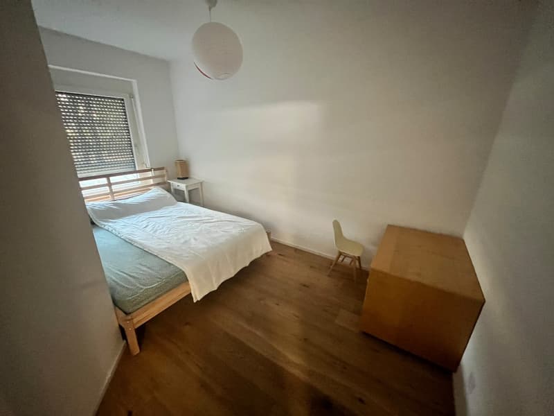 Charming 3.5-Room Apartment with Balcony and Beautiful Views in Flaach (4)