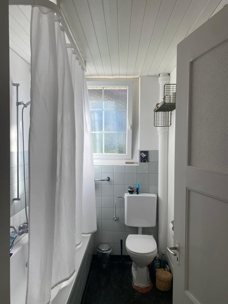 Befristete, helle 2.5-Zimmer-Wohnung (23.8-12.9) (6)