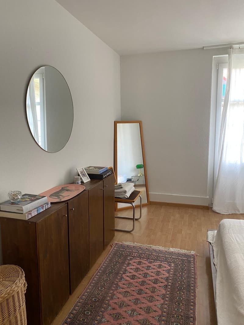 Befristete, helle 2.5-Zimmer-Wohnung (23.8-12.9) (5)