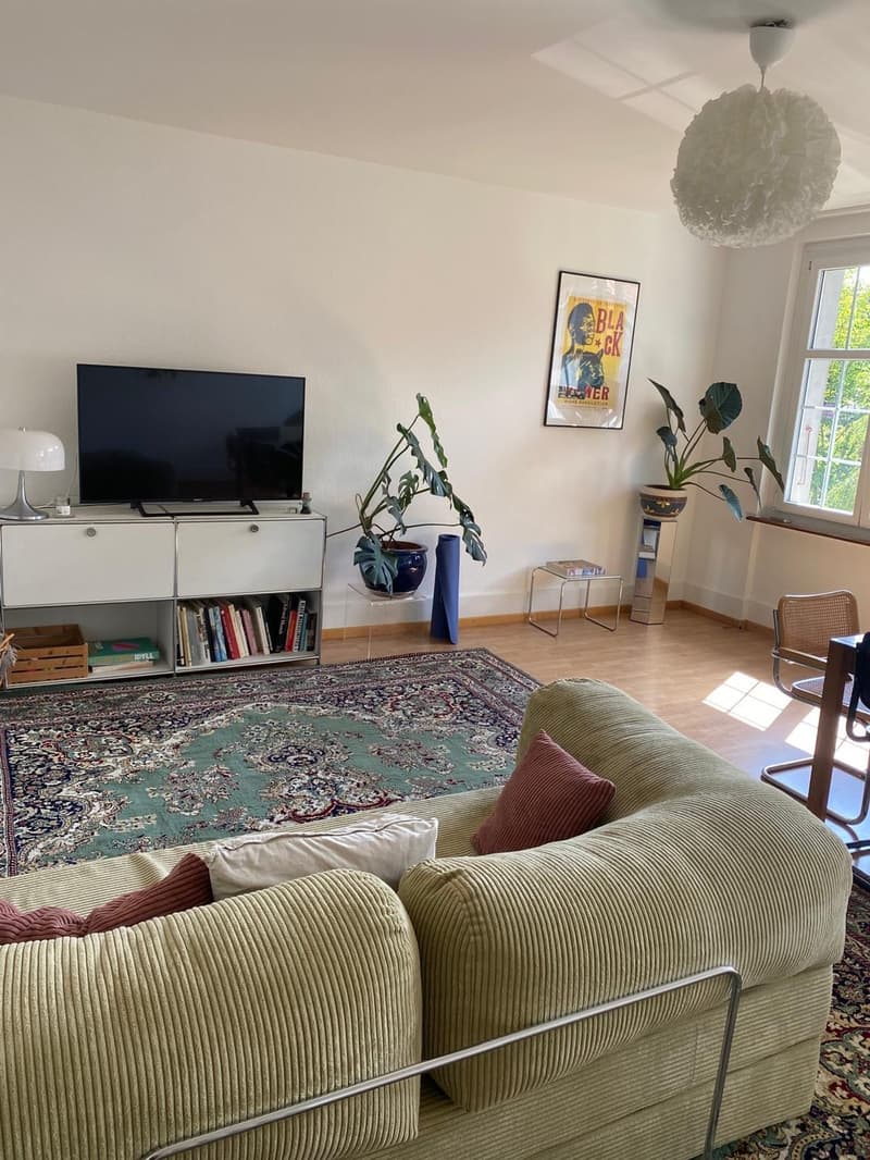 Befristete, helle 2.5-Zimmer-Wohnung (23.8-12.9) (2)