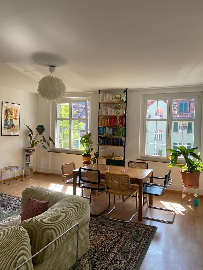Befristete, helle 2.5-Zimmer-Wohnung (23.8-12.9) (1)