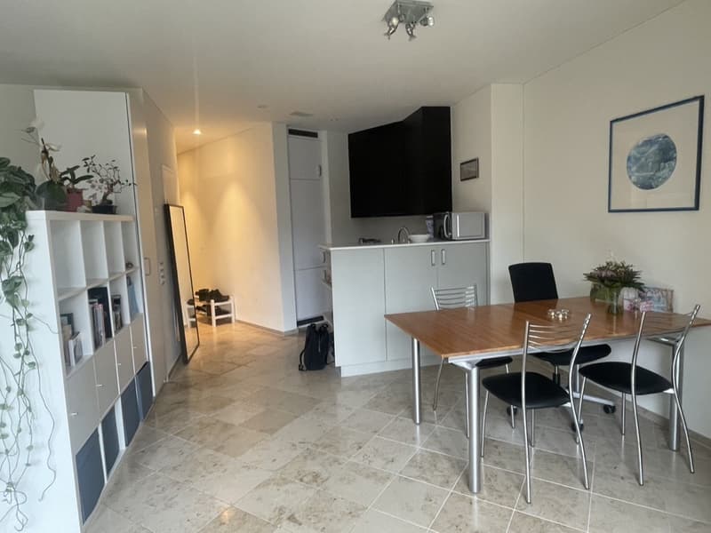 Modernes möbliertes 1.5-Zimmer-Apartment mit privatem Parkplatz (3)