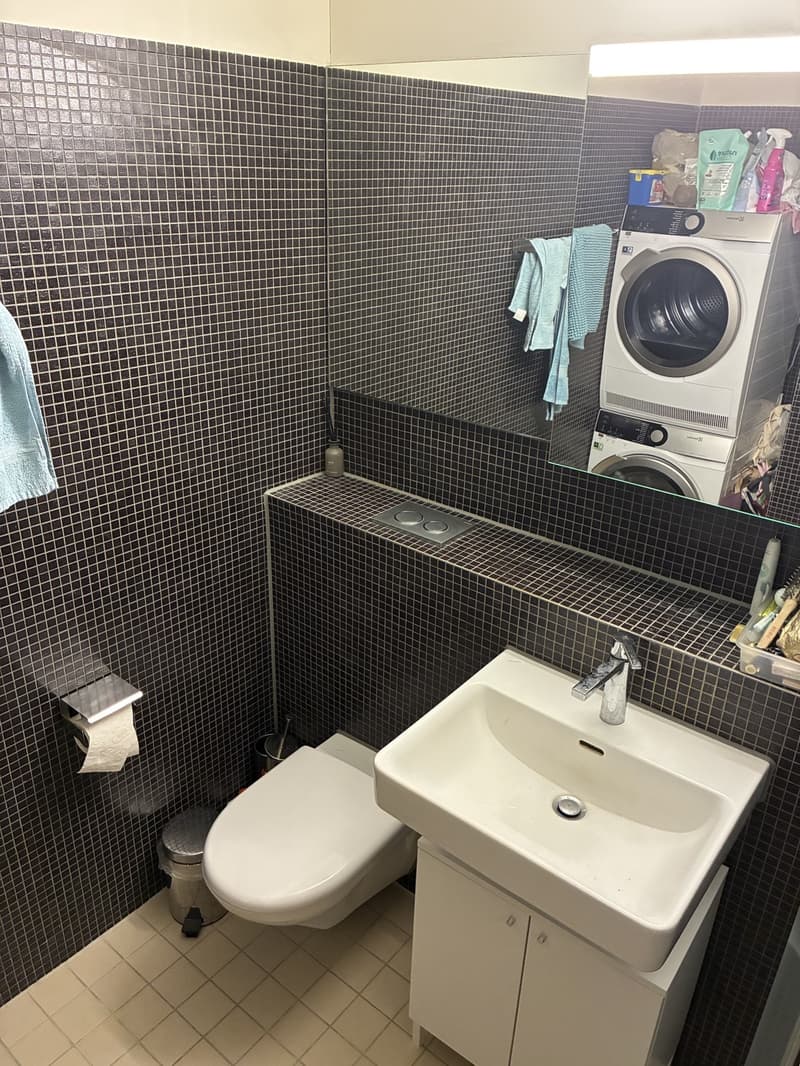 Modernes möbliertes 1.5-Zimmer-Apartment mit privatem Parkplatz (4)