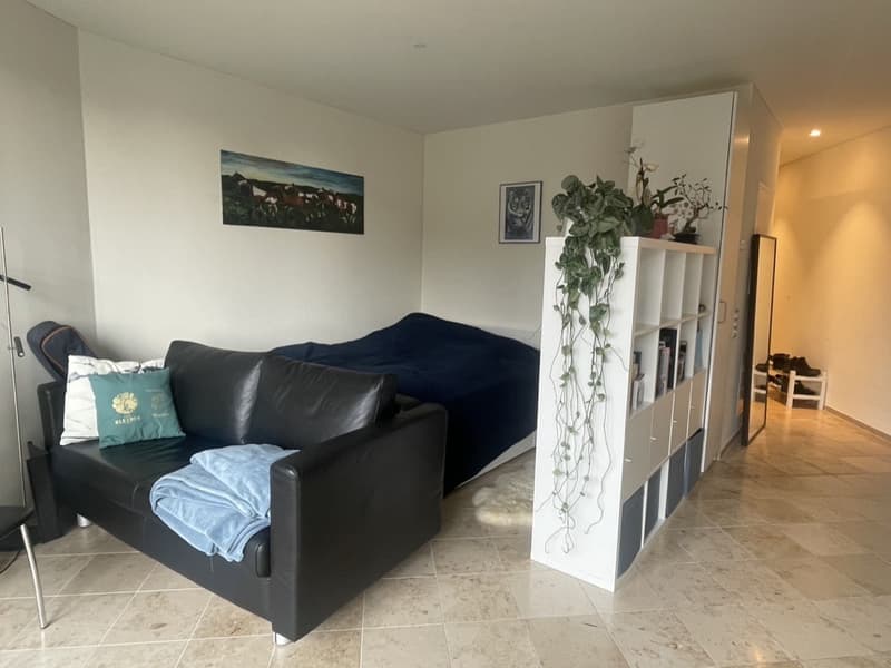 Modernes möbliertes 1.5-Zimmer-Apartment mit privatem Parkplatz (2)