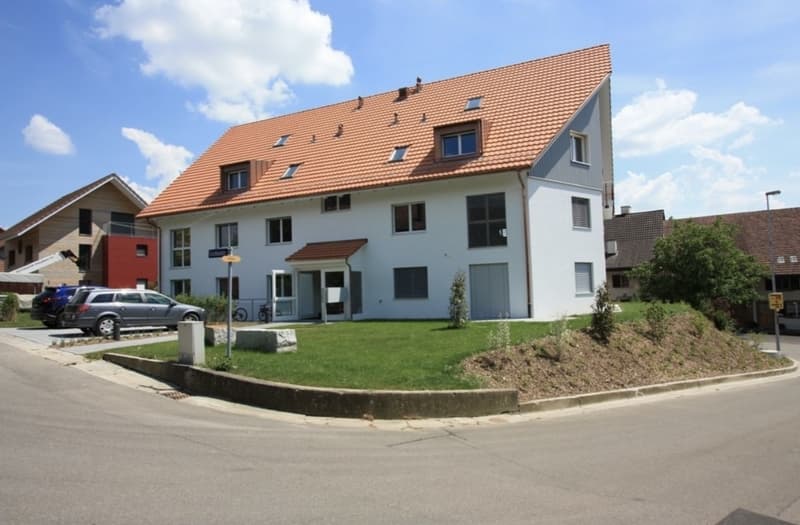 Helle und grosszügige 4.5-Gartenwohnung in Hünikon, Neftenbach (2)
