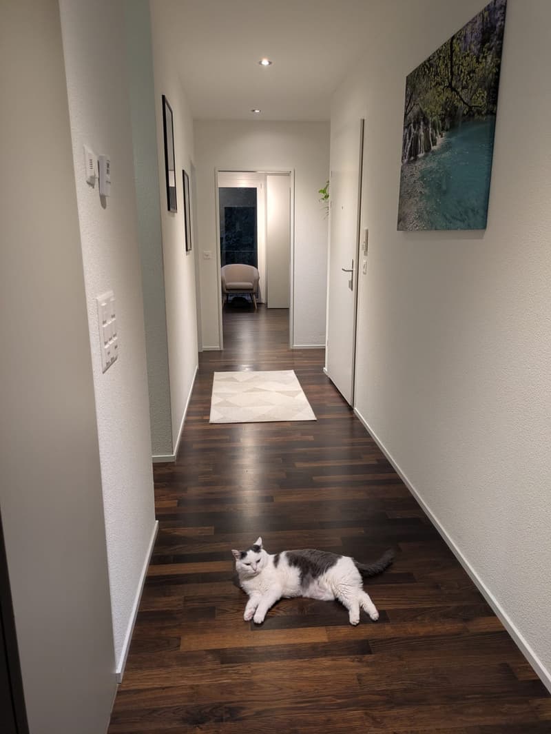 Helle 3,5 Zimmer Gartenwohnung zu vermieten (11)