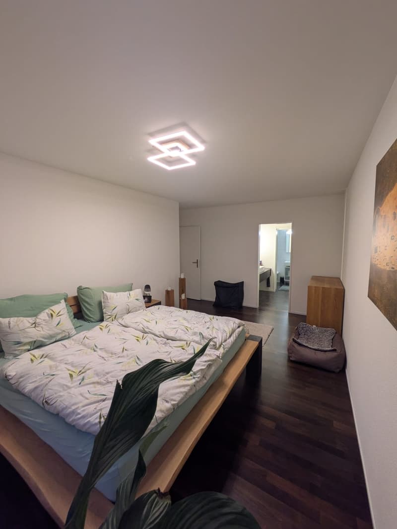 Helle 3,5 Zimmer Gartenwohnung zu vermieten (13)