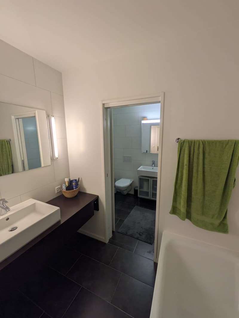 Helle 3,5 Zimmer Gartenwohnung zu vermieten (7)