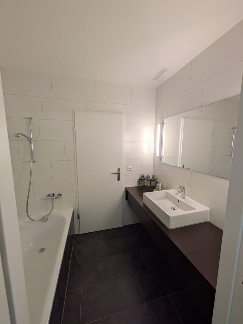 Helle 3,5 Zimmer Gartenwohnung zu vermieten (9)