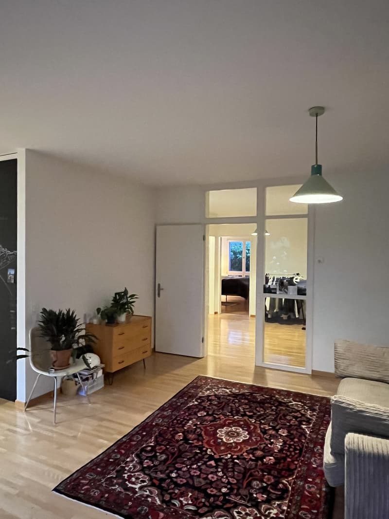 Ruhige 2.5-Zimmer-Erdgeschosswohnung mit privatem Sitzplatz und Garten  befristet im September (5)