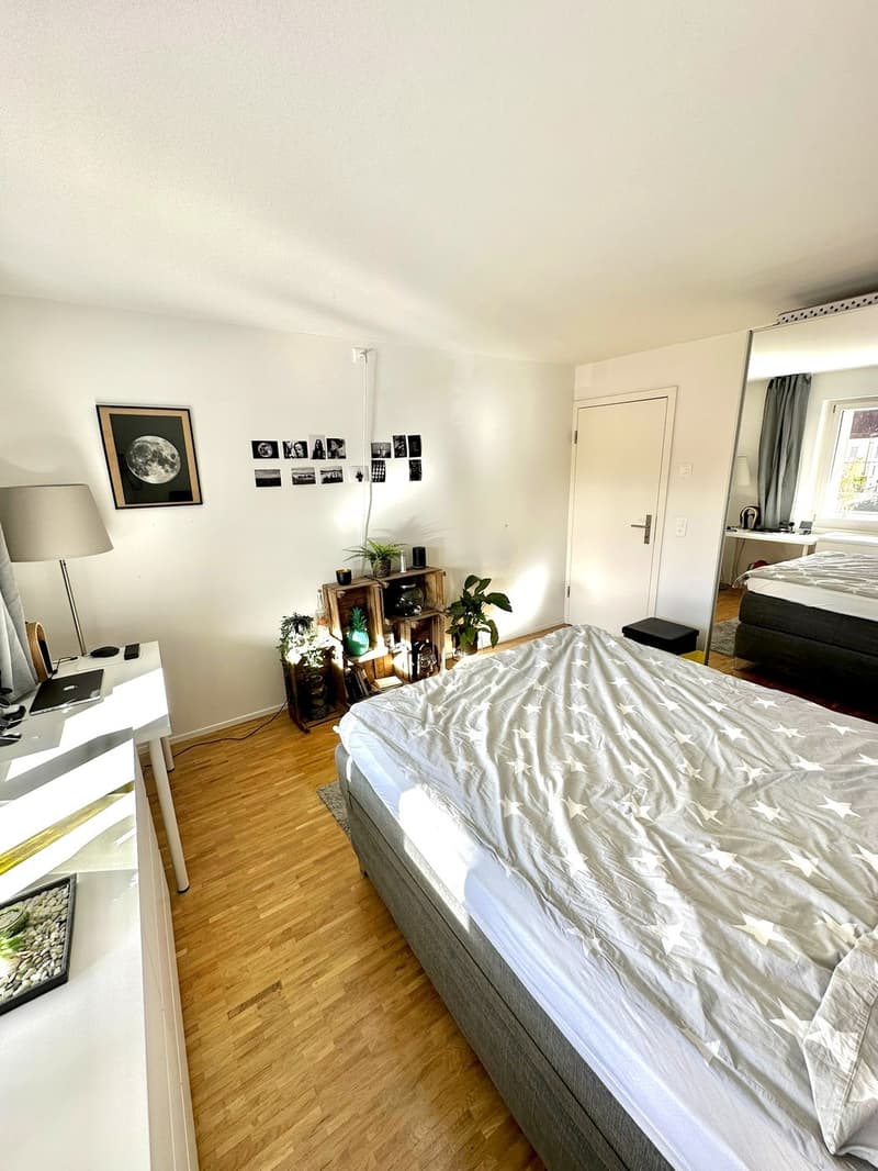 WG Zimmer Uster (2)