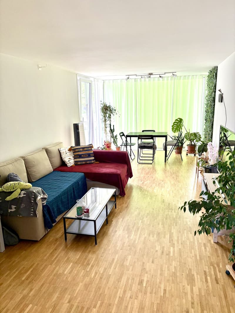 WG Zimmer Uster (5)