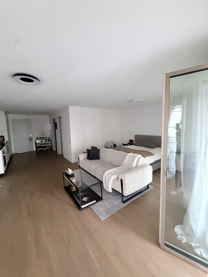 Möblierte 1.5-Zimmer-Wohnung mit Terrasse & Parkplatz in Dübendorf ab Oktober (1)