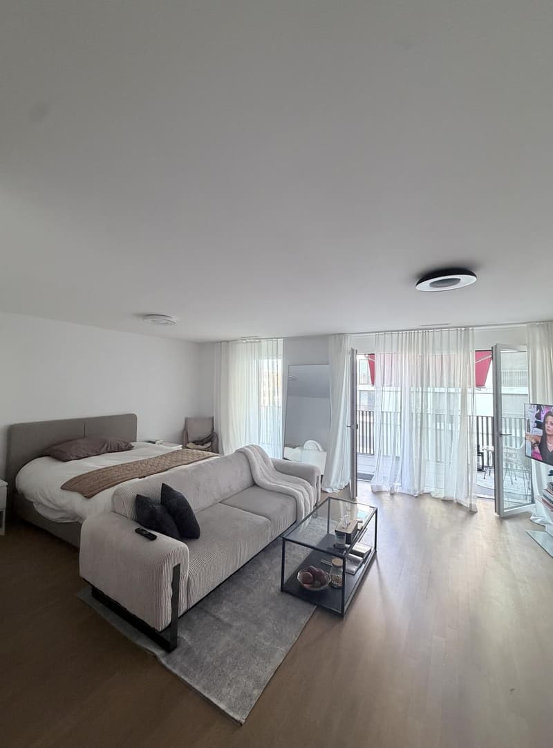 Möblierte 1.5-Zimmer-Wohnung mit Terrasse & Parkplatz in Dübendorf ab Oktober (3)