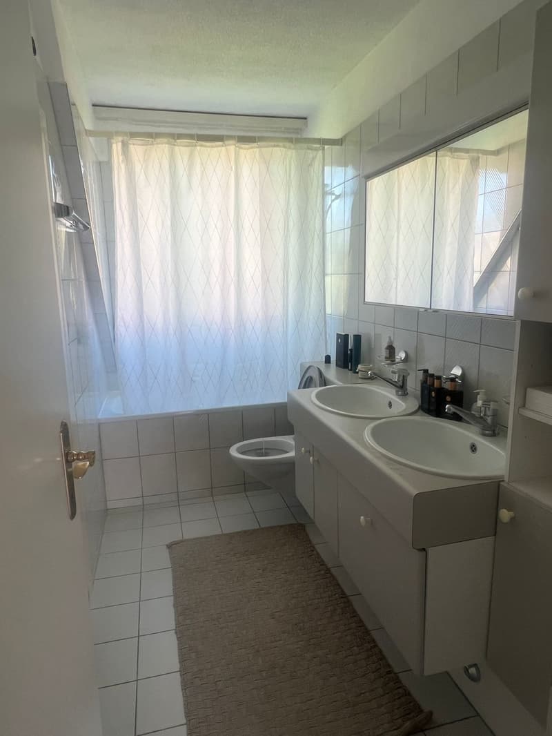 Room in a fully furnished 2-person apartment, 120 m², close to Zurich city centre with mountain views (7)