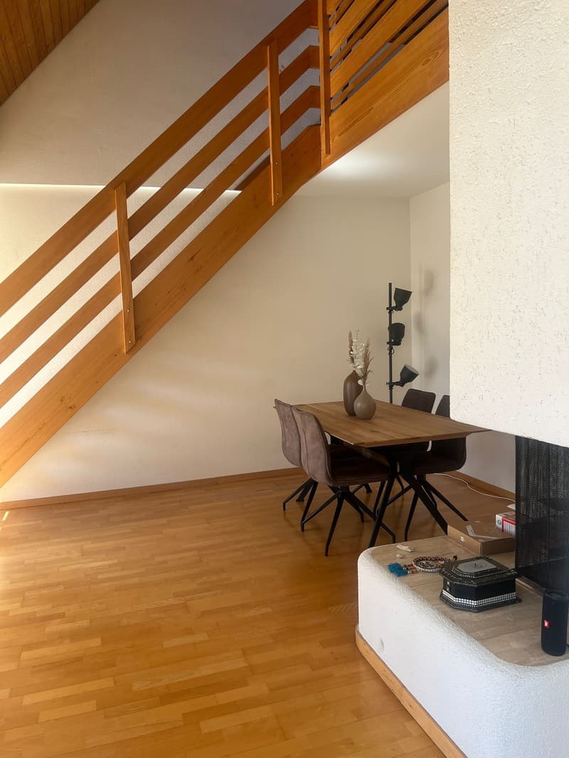 Room in a fully furnished 2-person apartment, 120 m², close to Zurich city centre with mountain views (5)