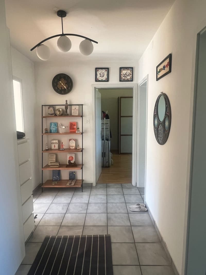 Room in a fully furnished 2-person apartment, 120 m², close to Zurich city centre with mountain views (4)