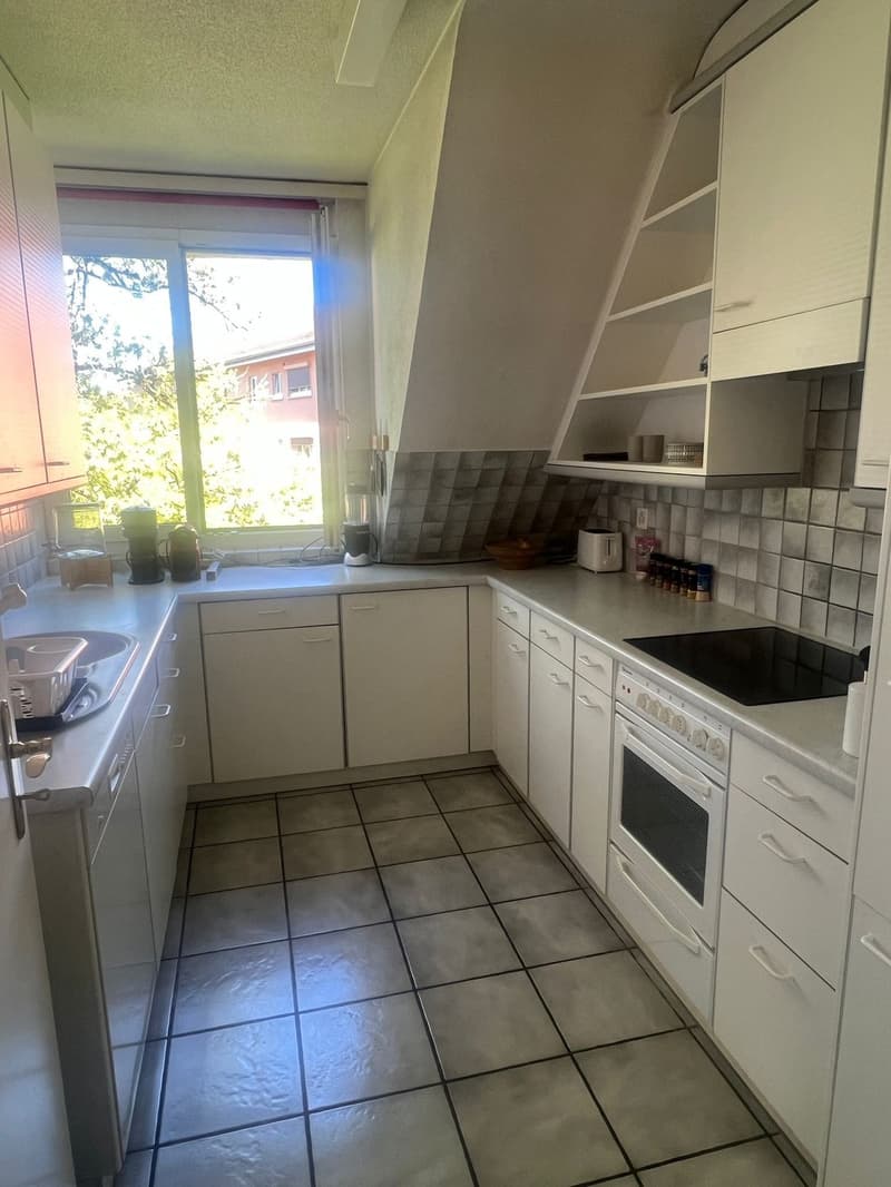 Room in a fully furnished 2-person apartment, 120 m², close to Zurich city centre with mountain views (6)