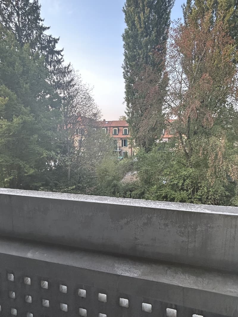 Nachmieter/in gesucht 2-Zimmer-Wohnung mit 2 Balkonen in Bern (5)