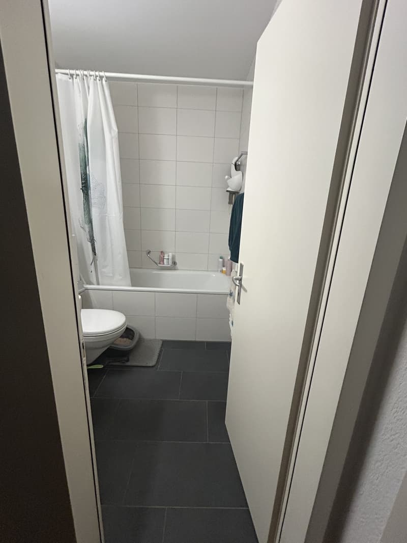 Nachmieter/in gesucht 2-Zimmer-Wohnung mit 2 Balkonen in Bern (4)